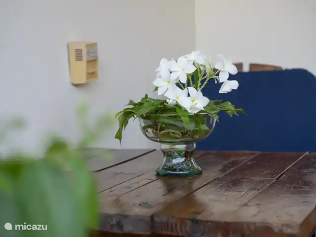 Tropical Oasis huren in Curaçao, Curacao-Midden, Boca St. Michiel - studio Elegante witte decoratieve bloemen.