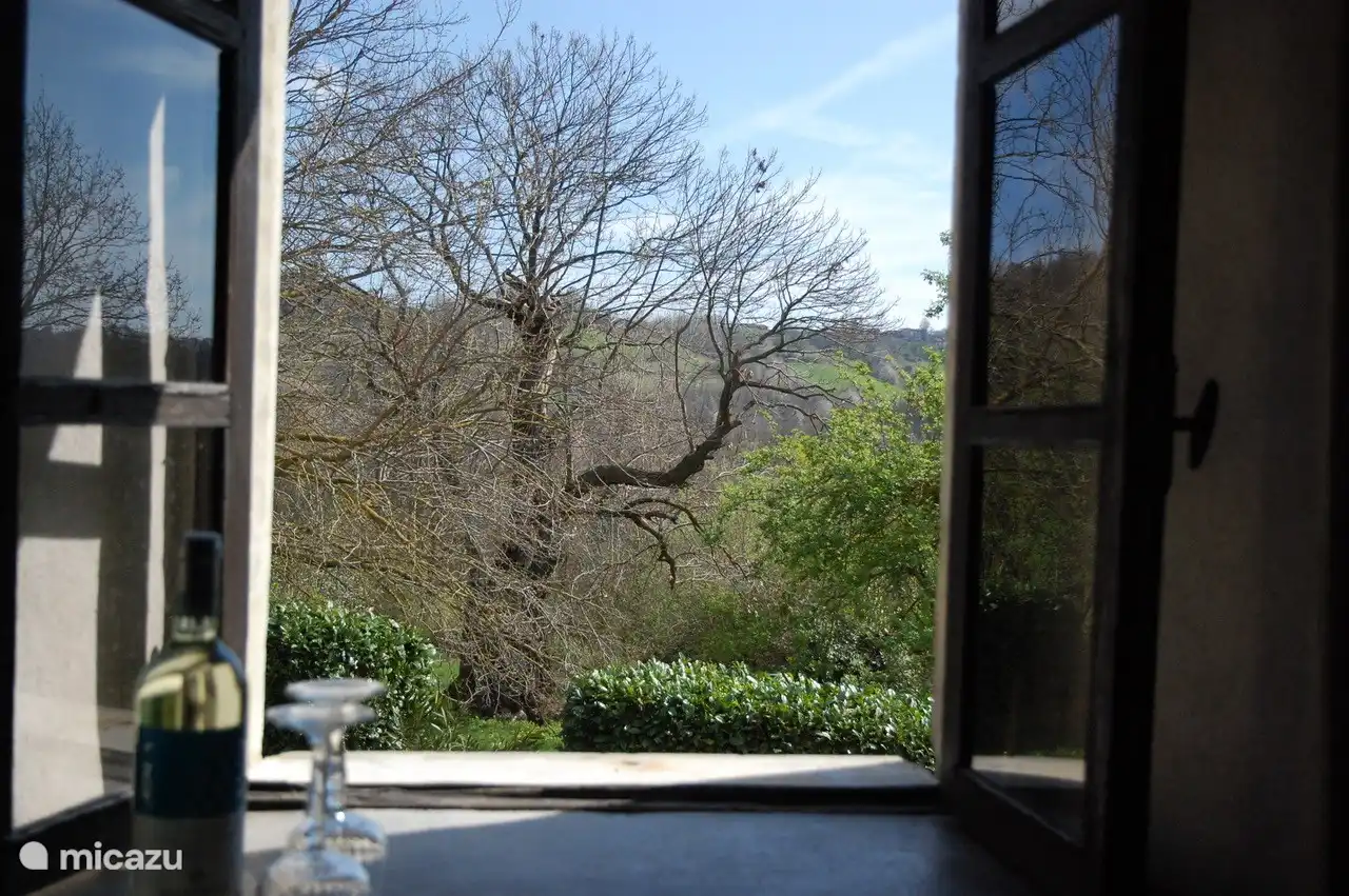 Blick vom Wohnzimmer auf den Garten