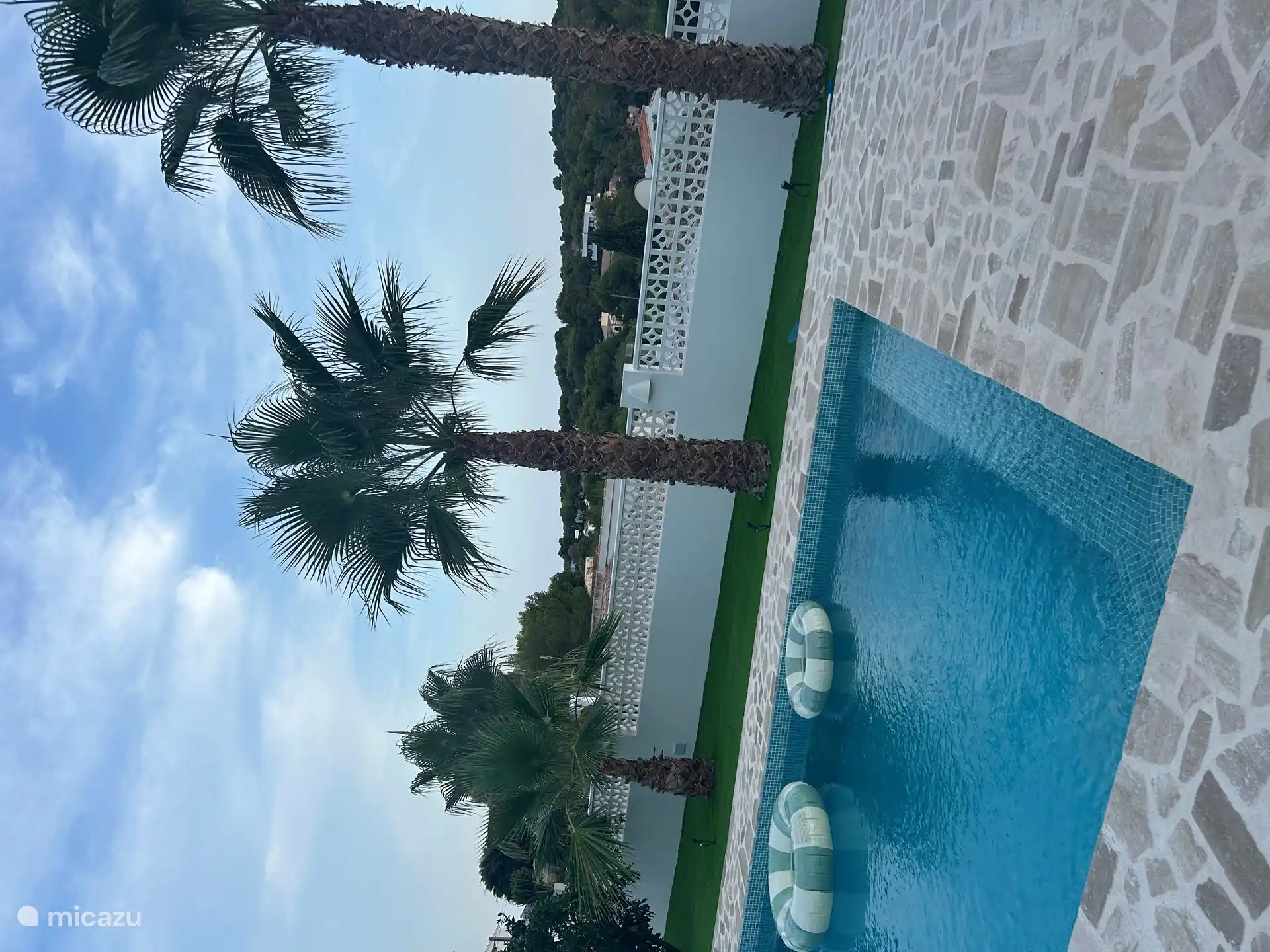 Villa Laurel vista de las palmeras desde la sala de estar y desde la terraza