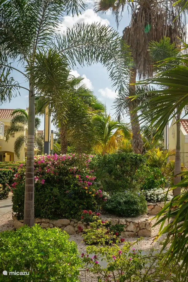 The garden in the resort is beautifully landscaped; perfect for spotting birds and lizards