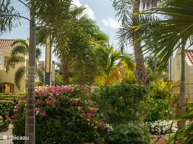 Location de Vacances Bonaire, Bonaire, Kralendijk, villa - Villa 5 Geel Courtyard Village Le jardin du complexe est magnifiquement aménagé ; parfait pour observer les oiseaux et les lézards