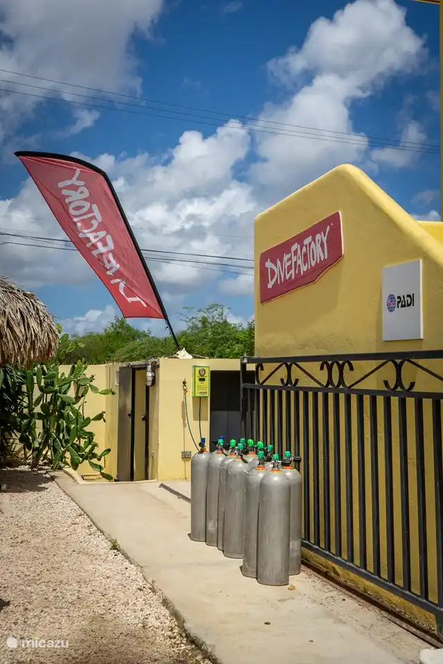 DiveFactory diving school is located at the resort where you can get all your diving materials and courses