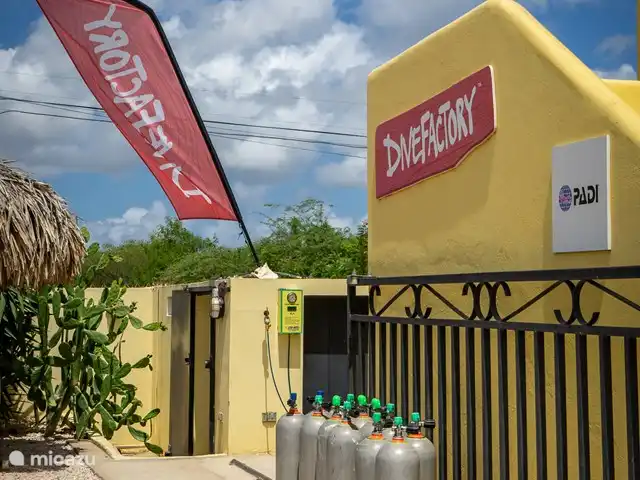 Location de Vacances Bonaire, Bonaire, Kralendijk, villa - Villa 5 Geel Courtyard Village L'école de plongée DiveFactory est située dans le complexe où vous pourrez vous procurer tout votre matériel et vos cours de plongée.