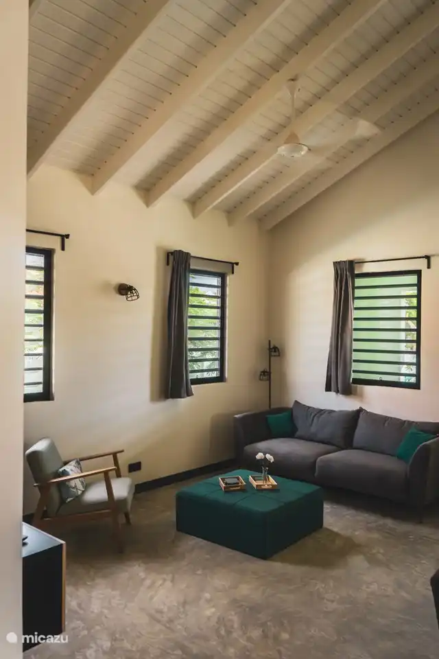 Large sofa and sitting area in the living room