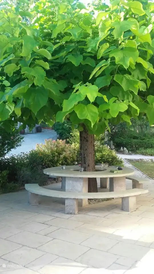 tree table