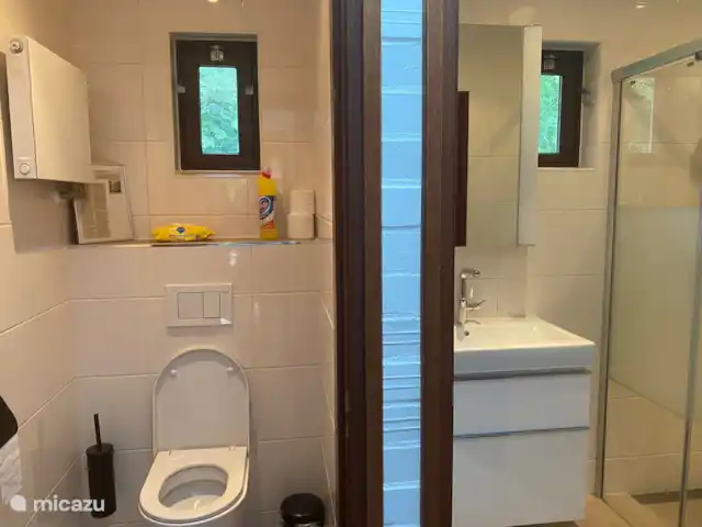 Boshuis Daaldersplakje huren in Nederland, Friesland, Appelscha - vakantiehuis De badkamer