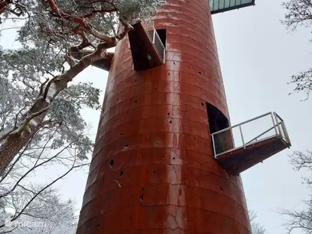 Boshuis Daaldersplakje huren in Nederland, Friesland, Appelscha - vakantiehuis