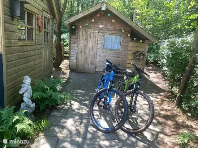 Boshuis Daaldersplakje huren in Nederland, Friesland, Appelscha - vakantiehuis In dit hok kunt u eigen fietsen kwijt. Er zijn ook twee fietsen welke u kunt gebruiken.