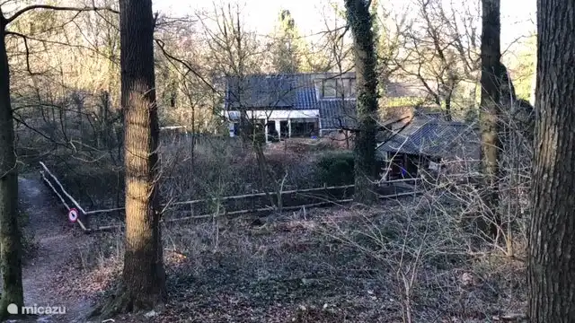 Das Waldhaus vom Wald aus gesehen. Von Ihrem eigenen Hof aus können Sie den Wald bequem erreichen.