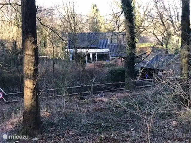 Boshuis Daaldersplakje huren in Nederland, Friesland, Appelscha - vakantiehuis Het boshuis gezien vanaf het bos. U bent zo vanaf eigen erf in het bos.