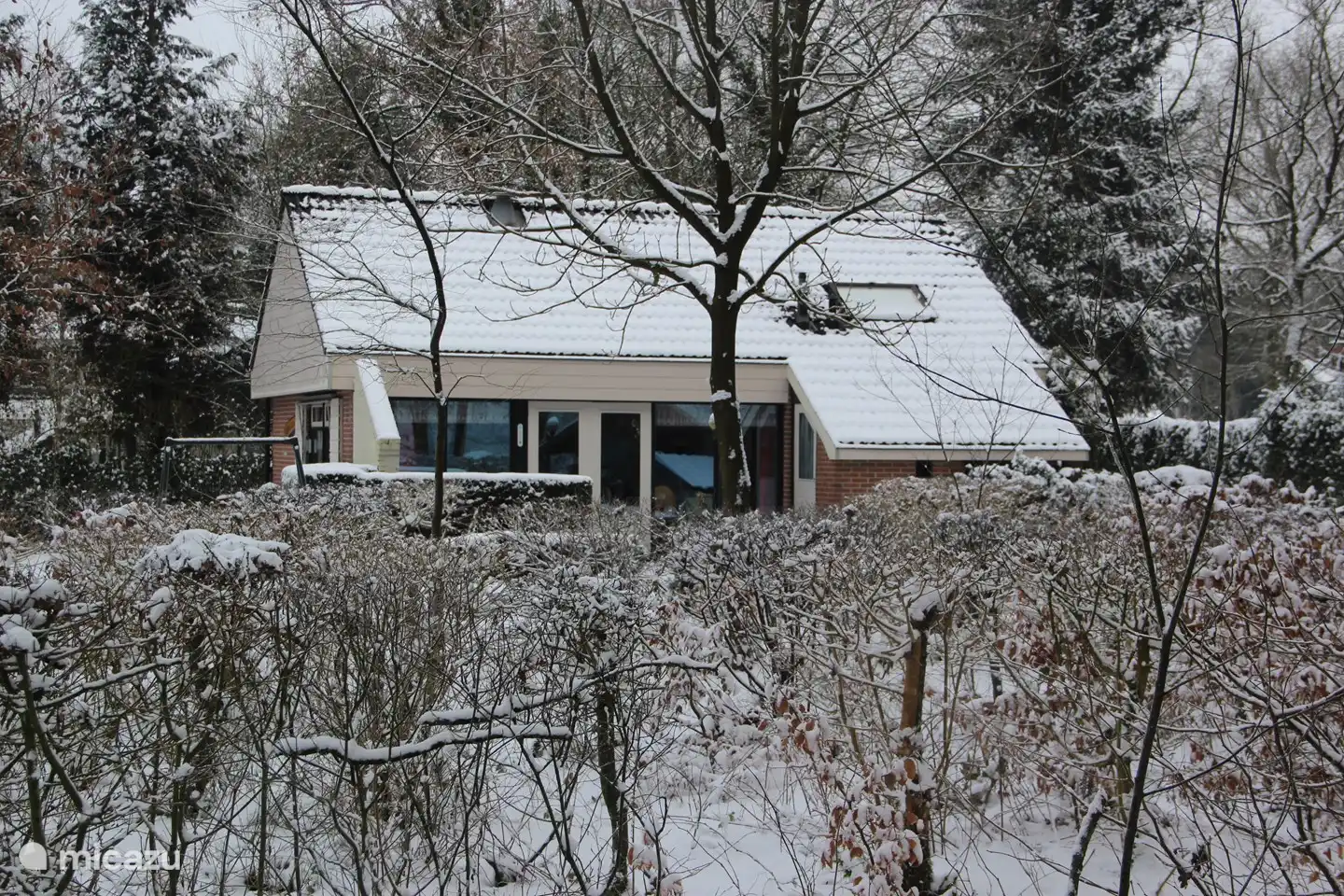 Das Waldhaus im Winter