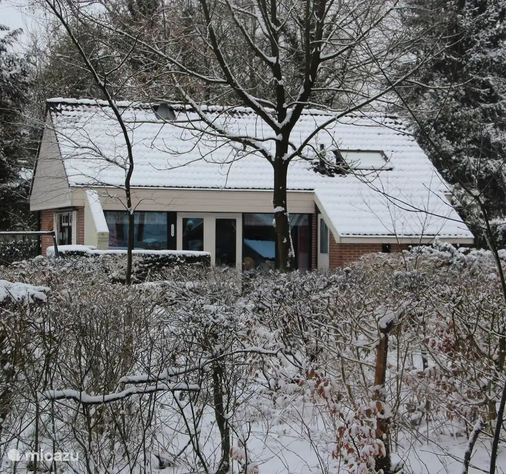 Boshuis Daaldersplakje
