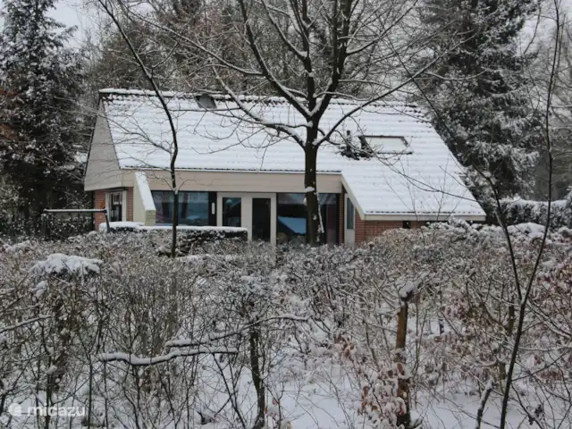 Boshuis Daaldersplakje huren in Nederland, Friesland, Appelscha - vakantiehuis Het boshuis in de winter