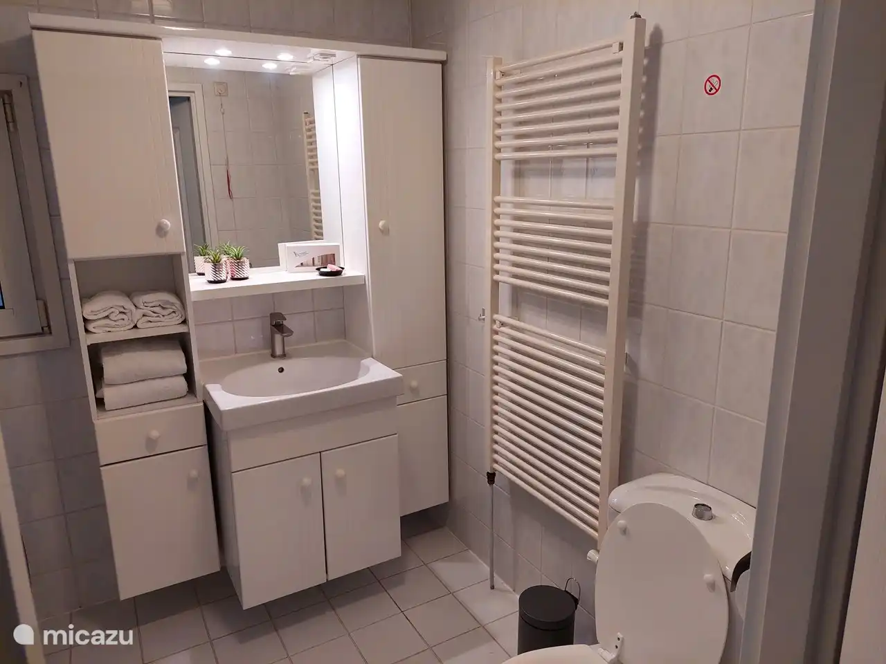 Salle de bain avec lavabo, douche, toilettes et machine à laver