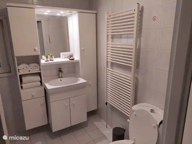 Comfort chalet nr.19 huren in Nederland, Gelderland, Putten - vakantiehuis Badkamer met wastafel, douche(kabine), toilet en wasmachine