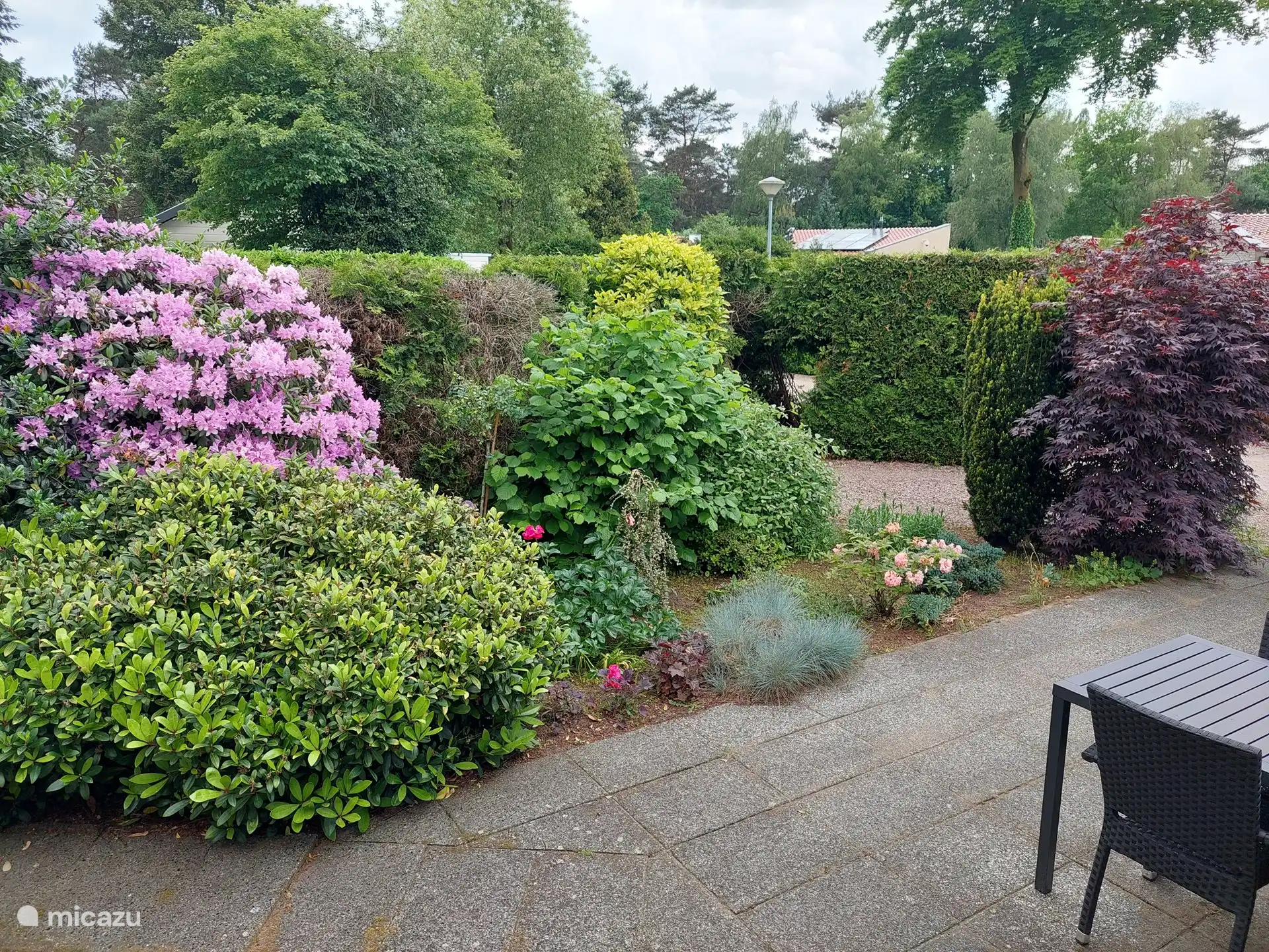 Terrain avec de belles fleurs, arbres et plantes