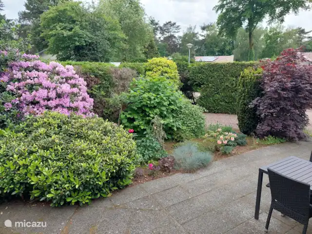Comfort chalet nr.19 huren in Nederland, Gelderland, Putten - vakantiehuis Kavel voorzien van prachtige bloemen, bomen en planten