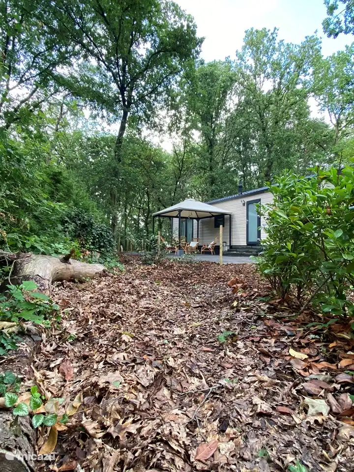 Boshuisje Nunspeet 52 in Niederlande, Gelderland, Nunspeet - ferienhaus