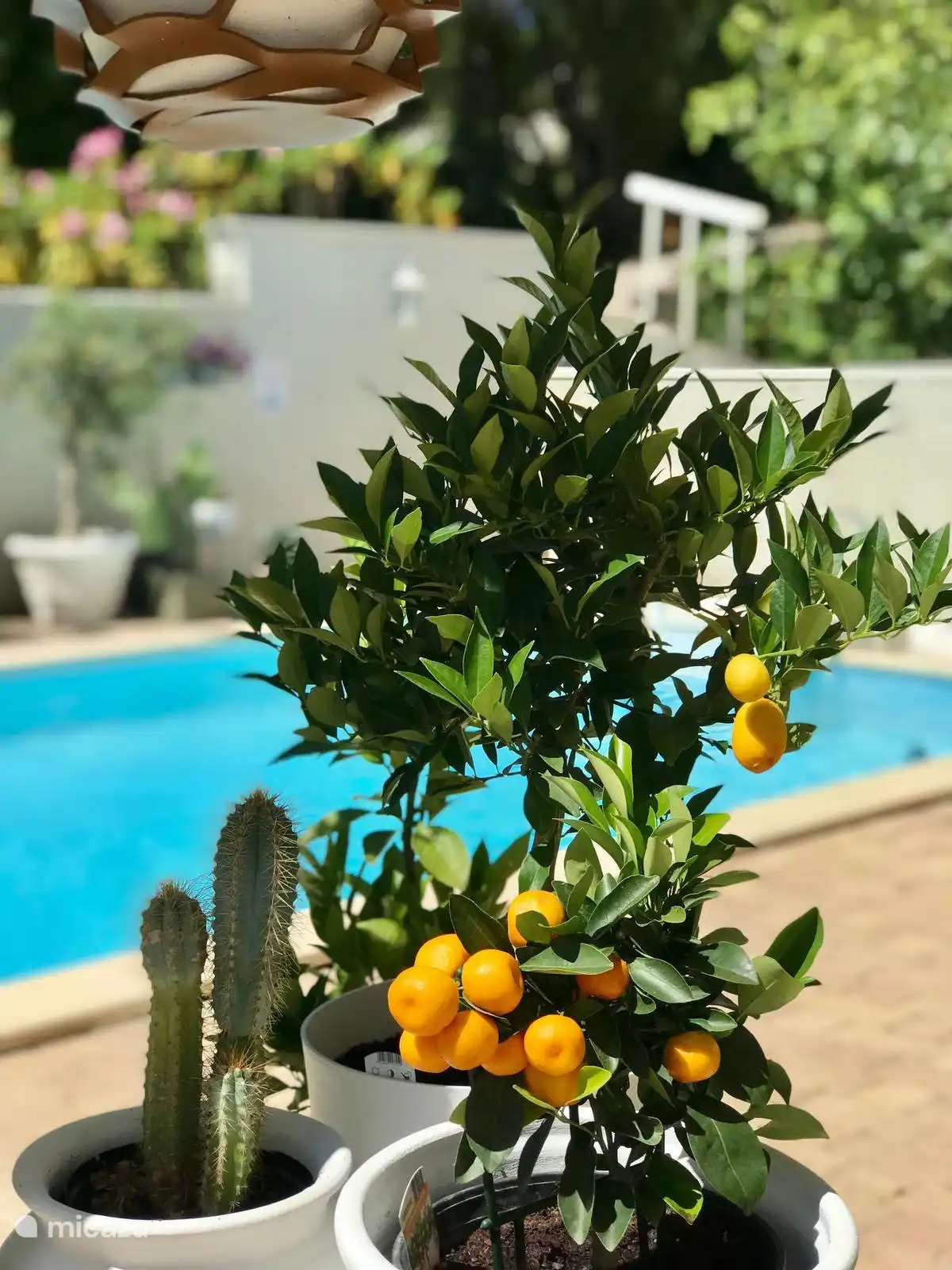 BoutiqueGite &amp; Studio 5 in Frankreich, Hérault, Prades-sur-Vernazobre - Ferienhaus