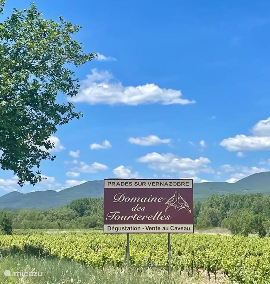 Weindorf Prades-sur-Vernazobre