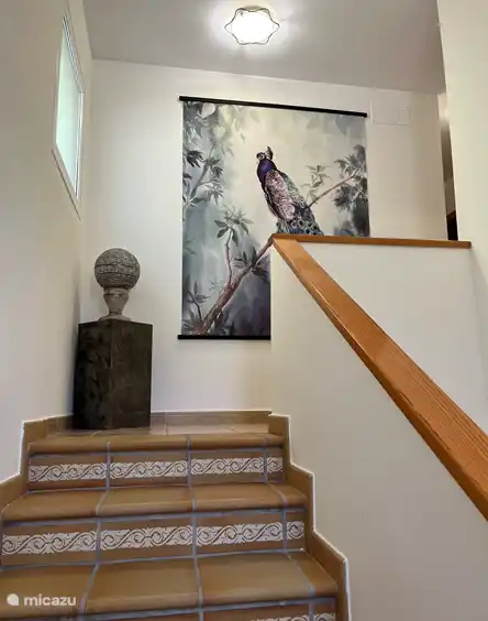Casa Luna