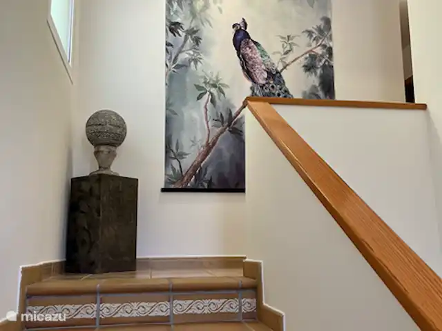 Location de Vacances Espagne, Costa de Valencia, Barx, villa - Casa Luna Montez les escaliers.