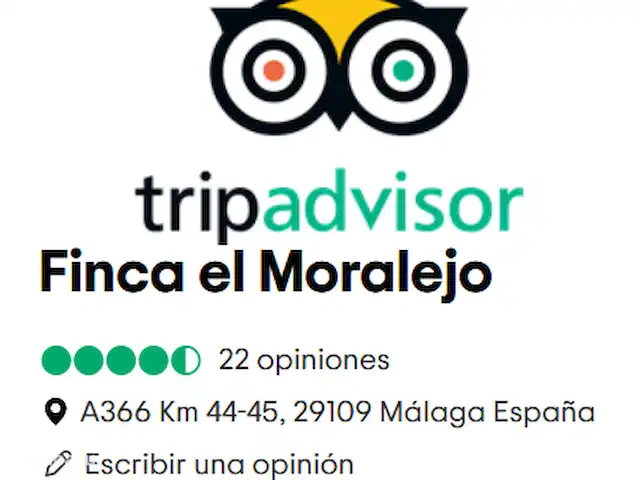 tiny house huren in Spanje, Andalusië, Tolox – Huisje 12 m2 buitenkeuken en terras Recensies