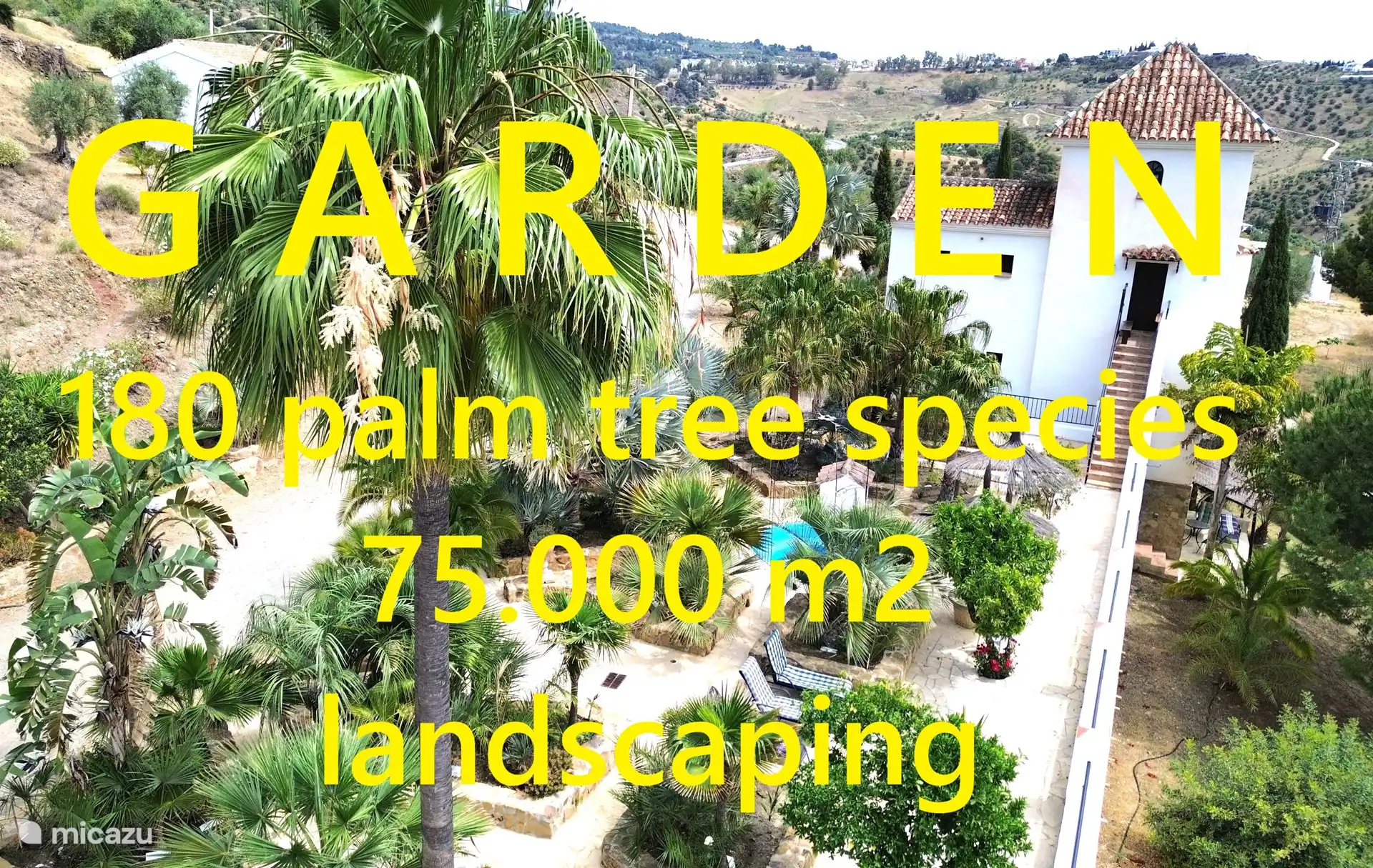 Paraíso de palmeras