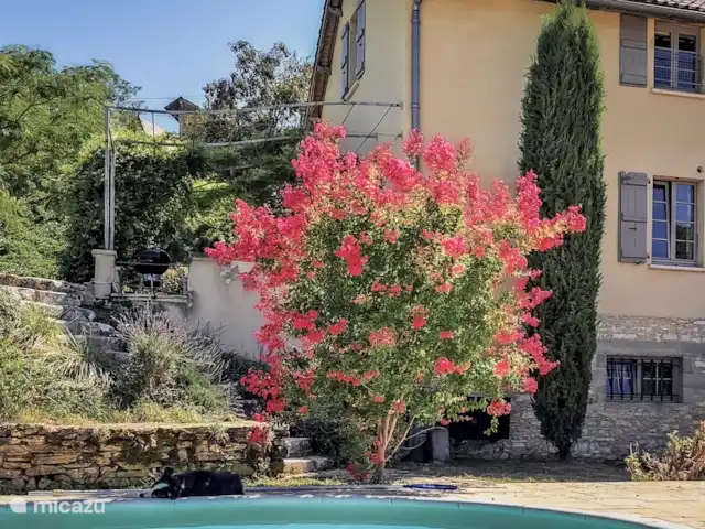 Quéduchique | France, Lot, Salviac - maison de vacances Le jardin