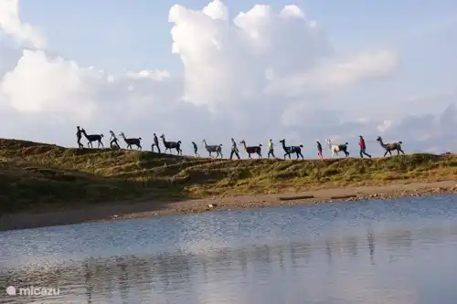 trekking de llamas