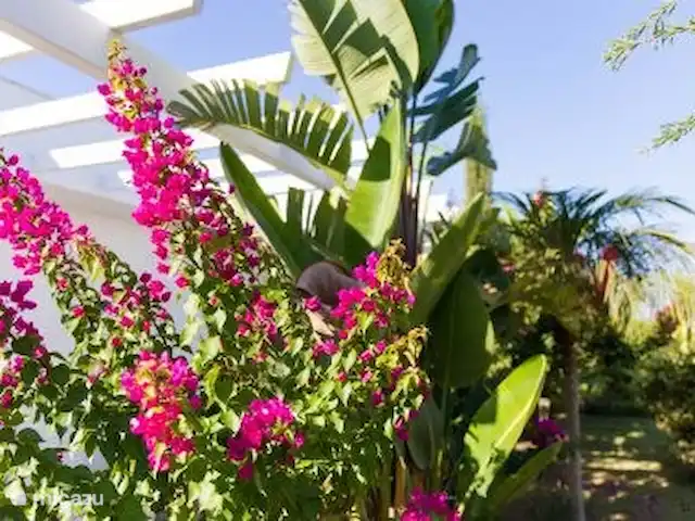 Villa Faralya | Turquie, Côte lycienne, Fethiye - villa jardin