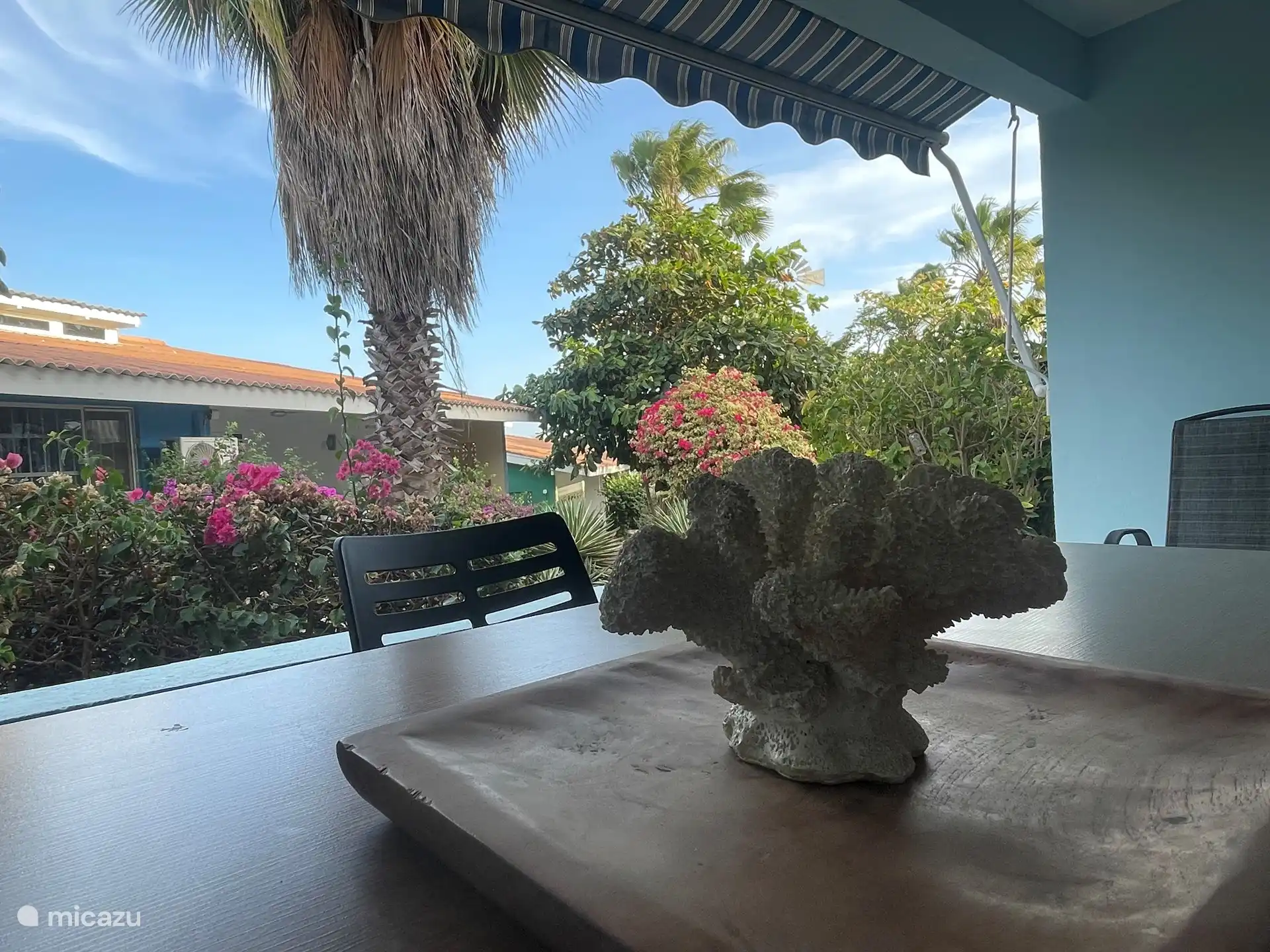 Vista desde la terraza