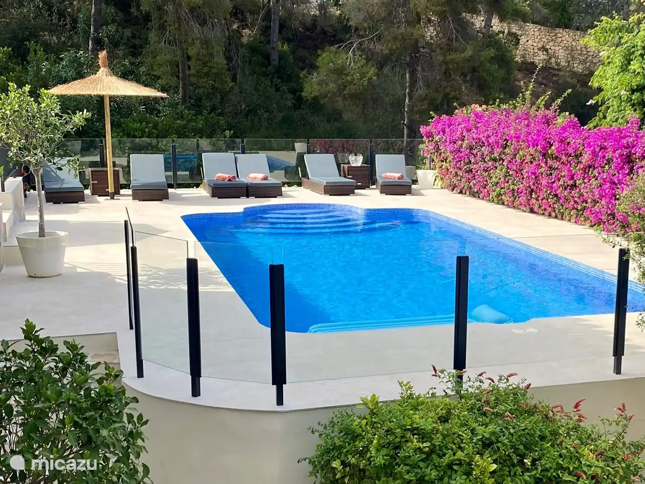 Schwimmbad mit Sonnenliegen von vorne