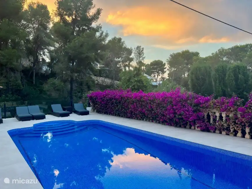 Blick auf den Morgen am Pool