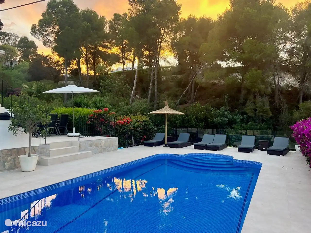 Blick auf den Morgen am Pool