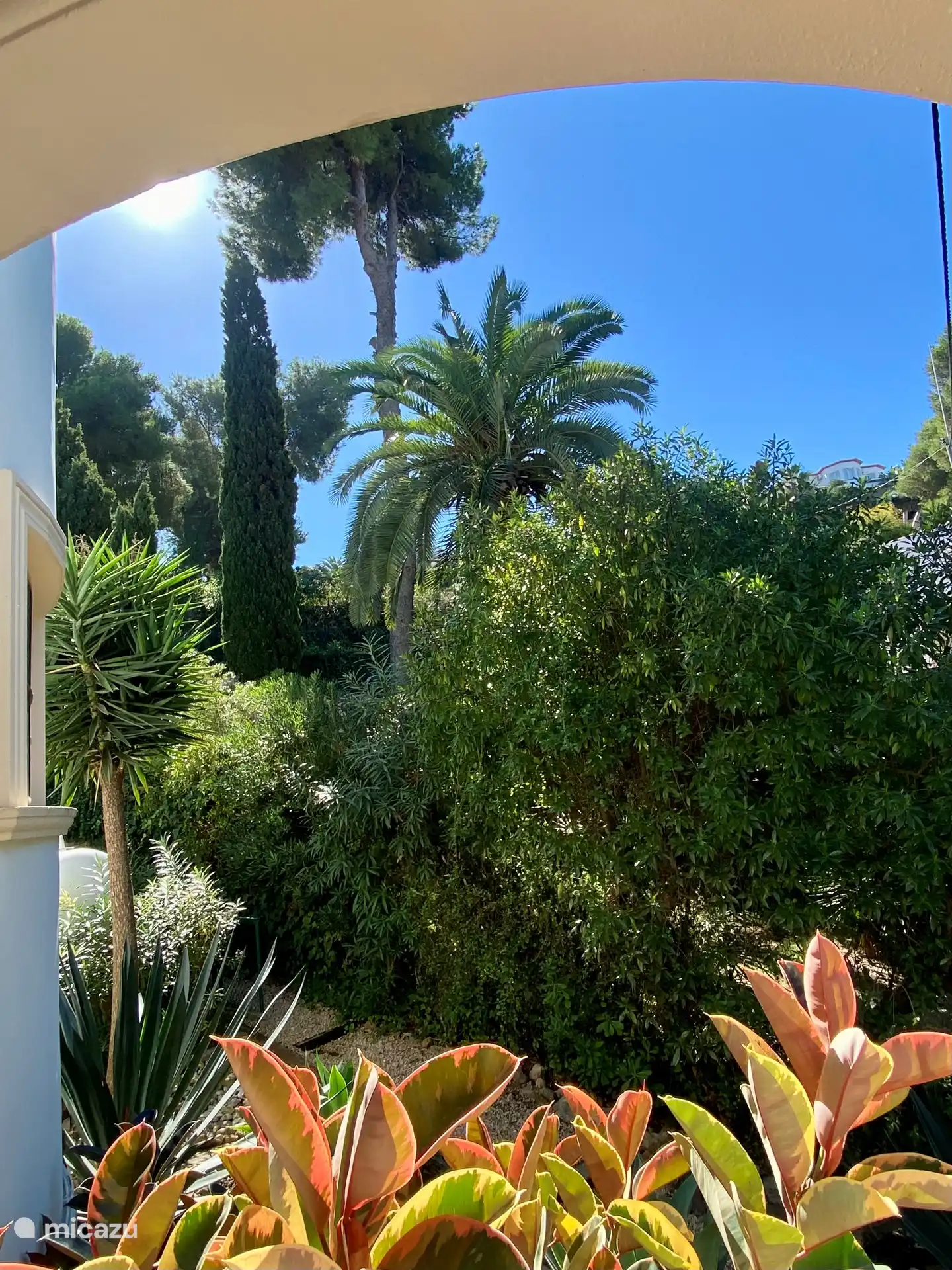 Blick von der überdachten Terrasse