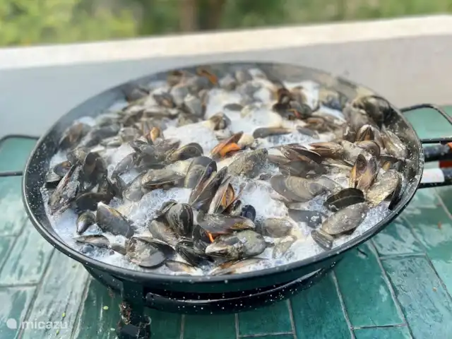 Casa Palmares | Espagne, Costa Blanca, Jávea - villa Préparation de délicieuses moules dans la cuisine extérieure