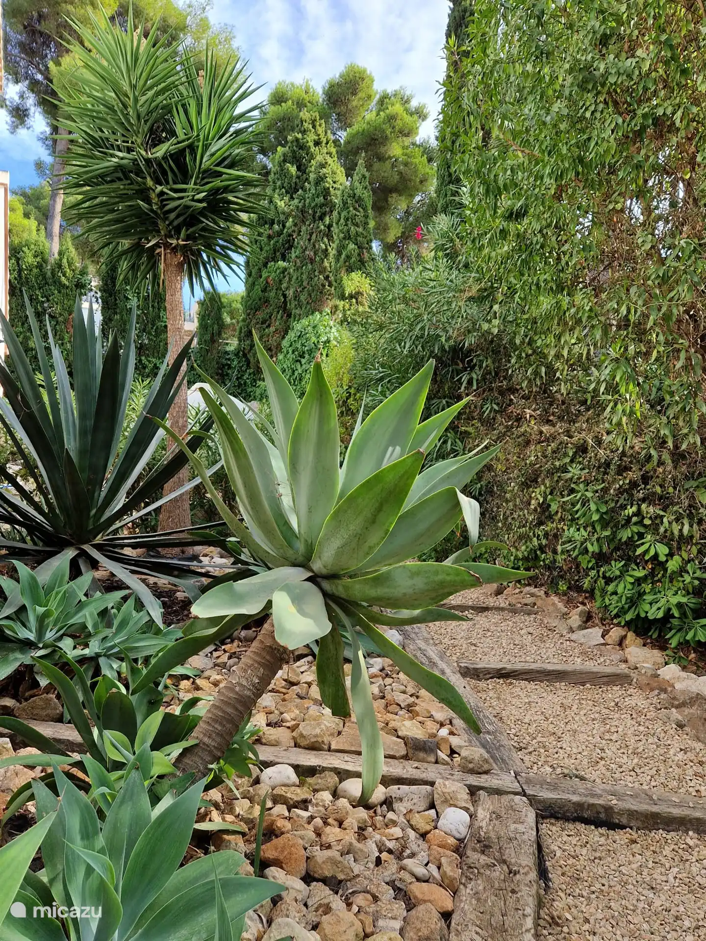 Gartenseite des Hauses mit ausgewachsenen Spezialpflanzen