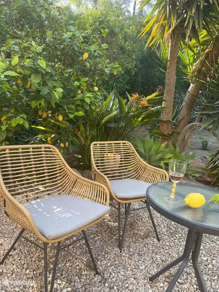 zusätzliche Terrasse umgeben von Zitronenbaum, Papageienstrauch und Juccas