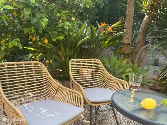 Casa Palmares | Espagne, Costa Blanca, Jávea - villa terrasse supplémentaire entourée de citronnier, de perroquet et de juccas