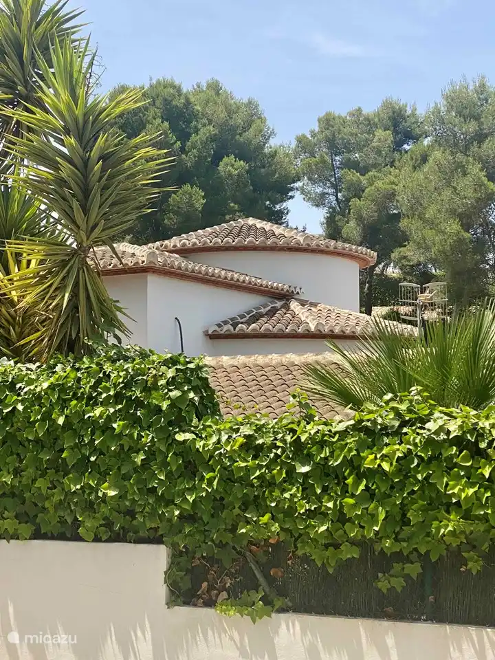 Dachlinien der Hausfront