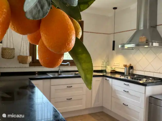 Villa Solymar huren in Spanje, Costa Blanca, Jávea - villa Modern ingerichte ruime keuken