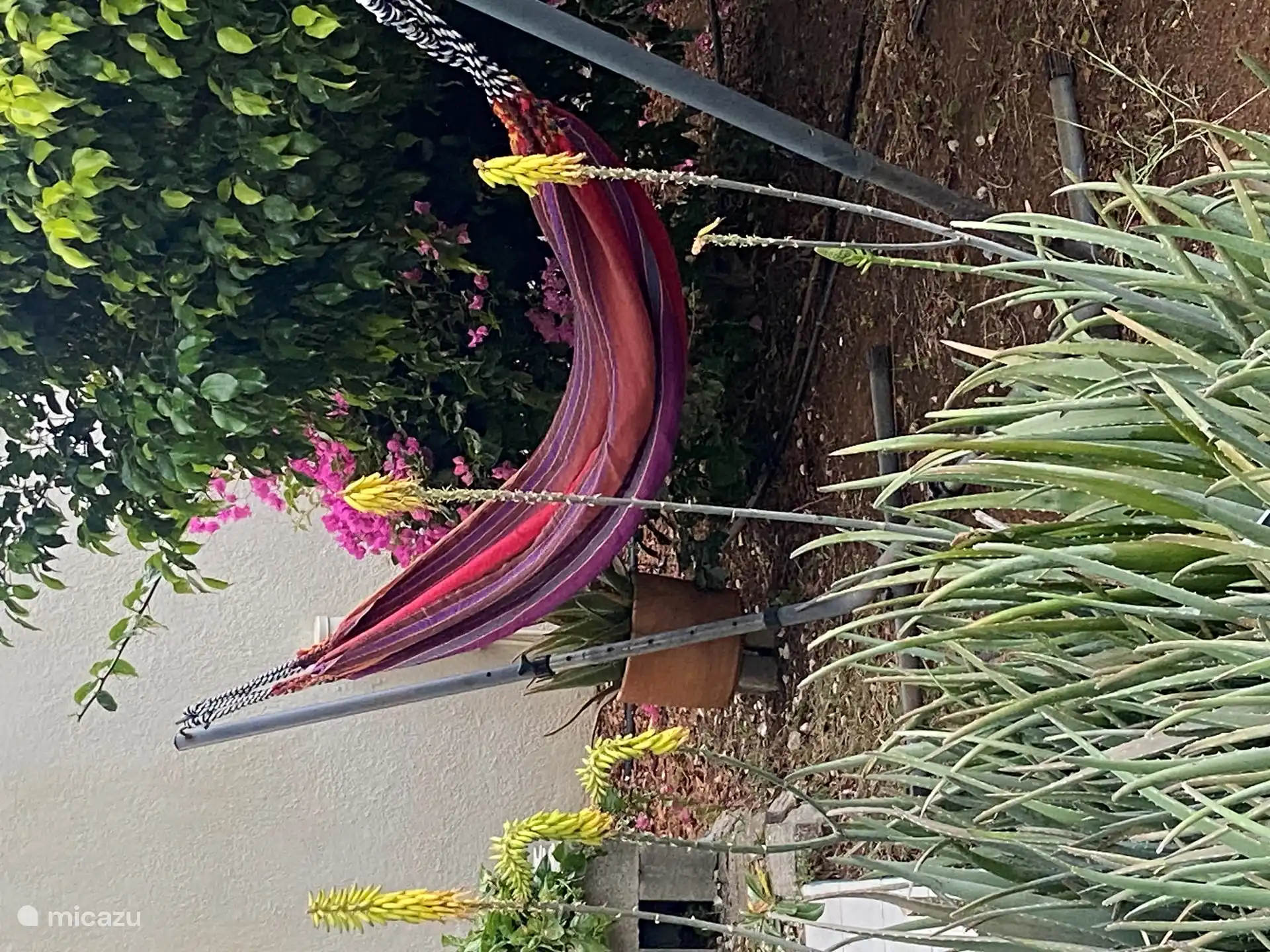 La hamaca en la que puedes reflexionar al atardecer o leer un libro.