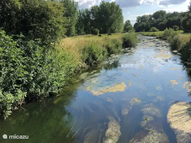 Casa de vacaciones FreLune en Bélgica, Limburgo, Tongeren - casa vacacional