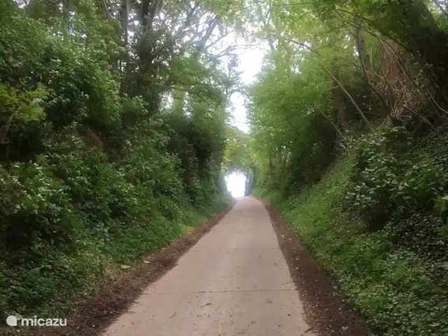 Casa de vacaciones FreLune en Bélgica, Limburgo, Tongeren - casa vacacional