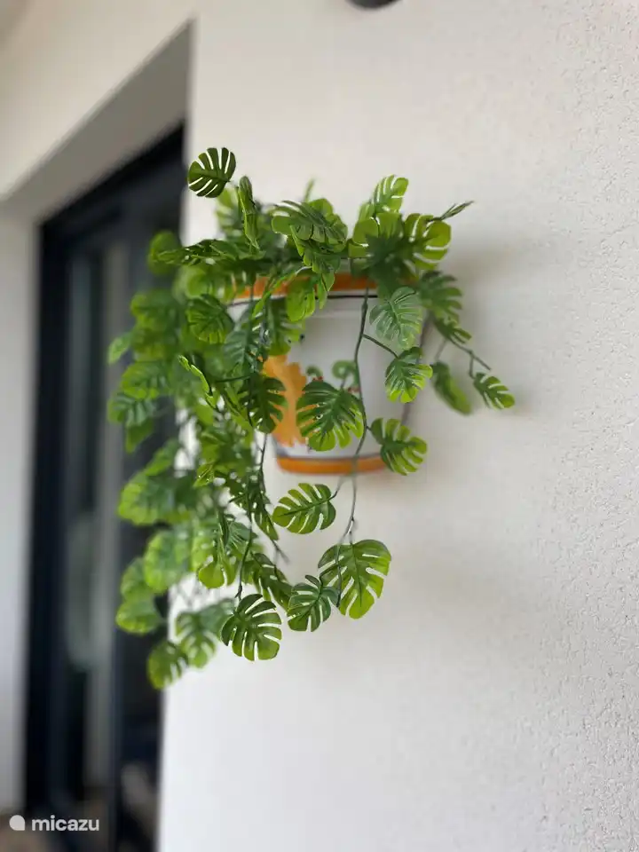 Gem&#252;tlicher ger&#228;umiger Balkon