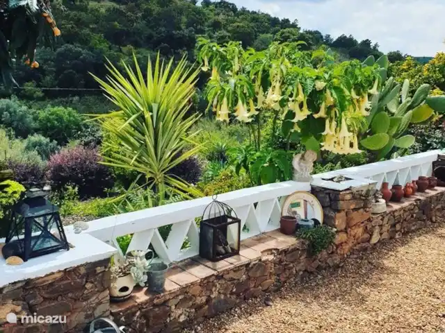 gîte / cottage huren in Portugal, Algarve, Santa Catarina da Fonte do Bispo – Casa Catarina Een tuin met uitzicht