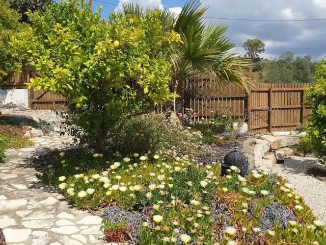 gîte / cottage huren in Portugal, Algarve, Santa Catarina da Fonte do Bispo – Casa Catarina Lente bloemen