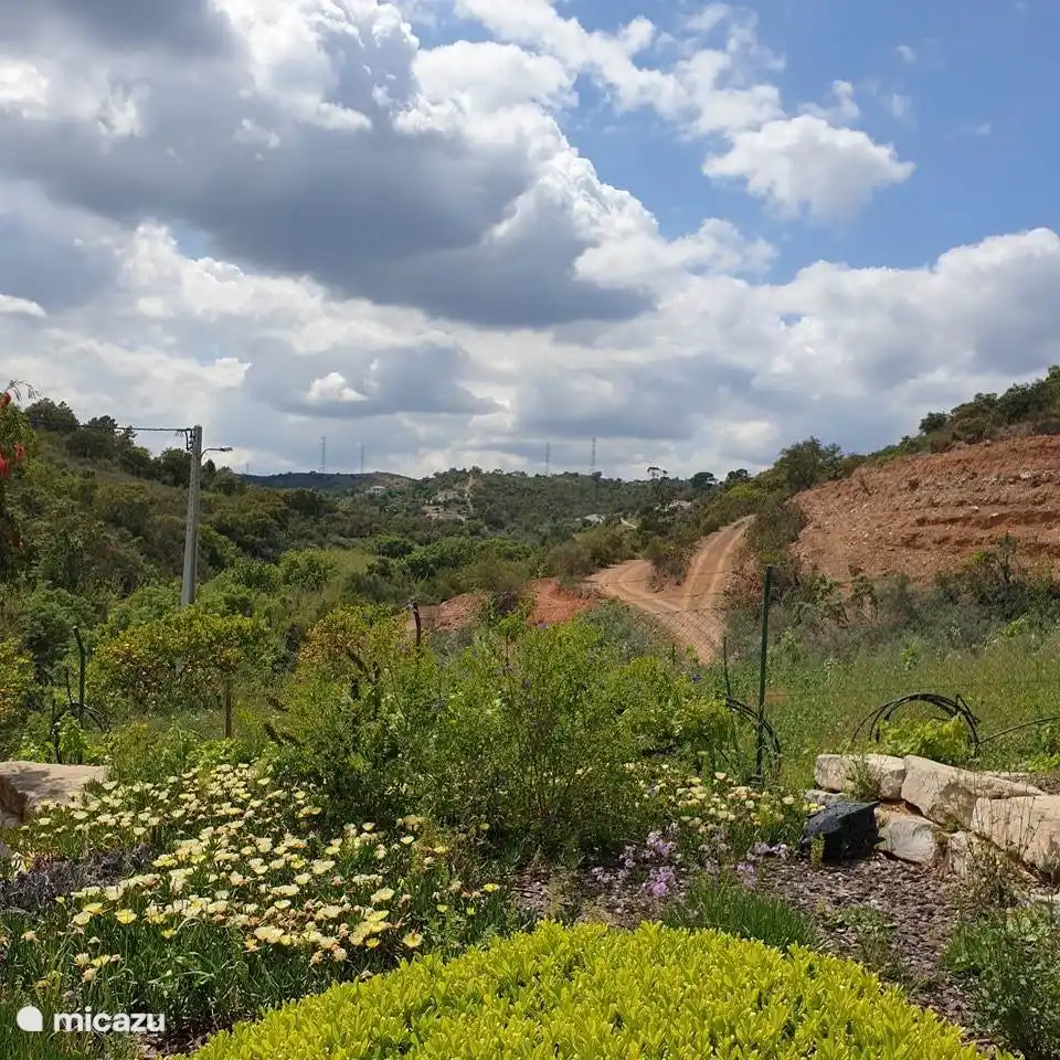 De prachtige heuvels in Santa Catarina