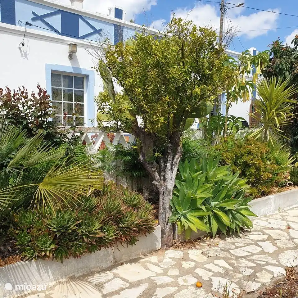 Een blik richting het huis